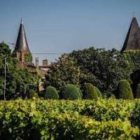 chateau gravas , vins d'exception région bordelaise Barsac